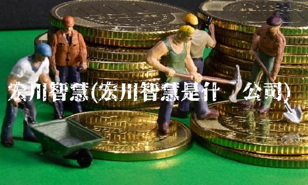 宏川智慧(宏川智慧是什么公司)
