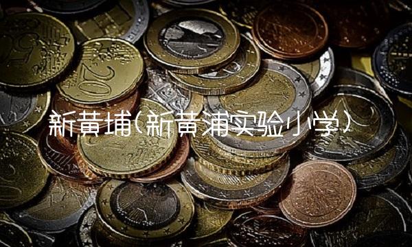 新黄埔(新黄浦实验小学)