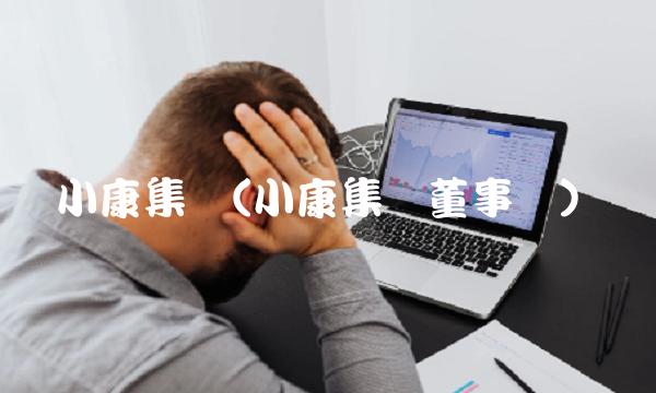 小康集团(小康集团董事长)