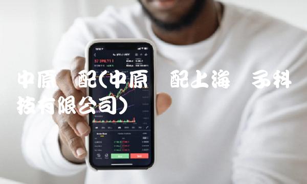 中原内配(中原内配上海电子科技有限公司)