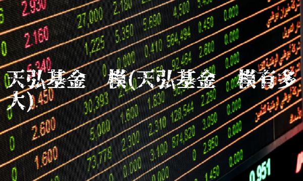 天弘基金规模(天弘基金规模有多大)