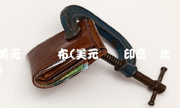 美元兑换卢布(美元兑换印度卢比)