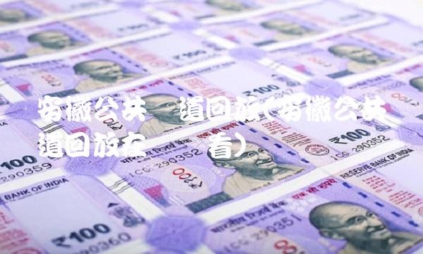 安徽公共频道回放(安徽公共频道回放在线观看)