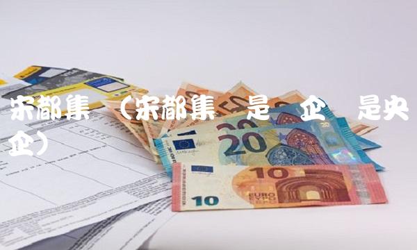 宋都集团(宋都集团是国企还是央企)