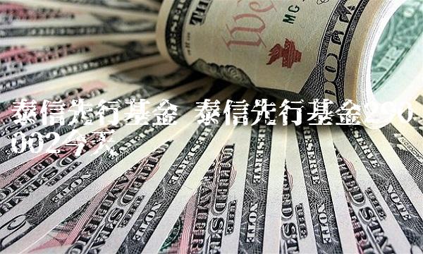 泰信先行基金 泰信先行基金290002今天净值