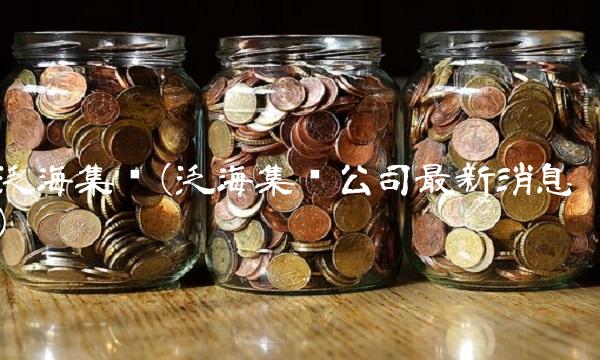 泛海集团(泛海集团公司最新消息)