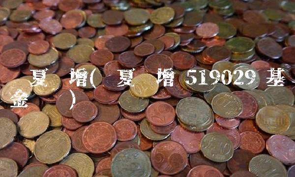 华夏稳增(华夏稳增 519029 基金净值)