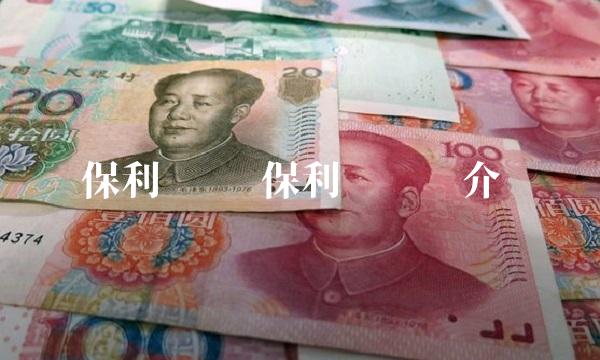 保利协鑫 保利协鑫简介