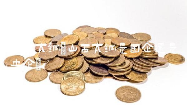 山西太钢(山西太钢是国企还是央企)