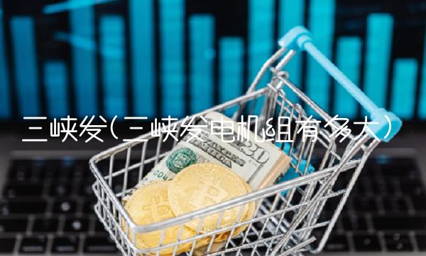 三峡发(三峡发电机组有多大)