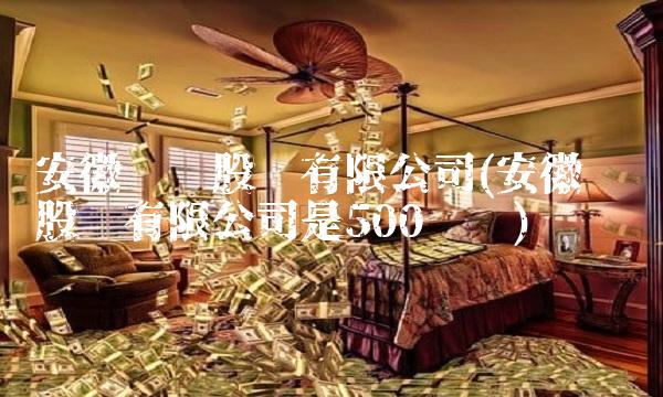 安徽开润股份有限公司(安徽开润股份有限公司是500强吗)