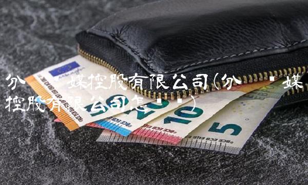 分众传媒控股有限公司(分众传媒控股有限公司怎么样)