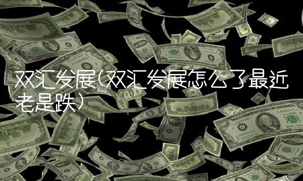 双汇发展(双汇发展怎么了最近老是跌)