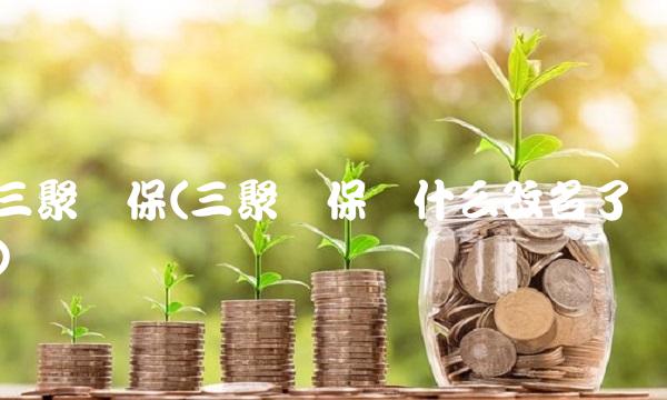 三聚环保(三聚环保为什么改名了)