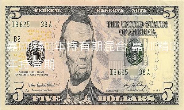 嘉实远见精选两年持有期混合 嘉实远见精选两年持有期