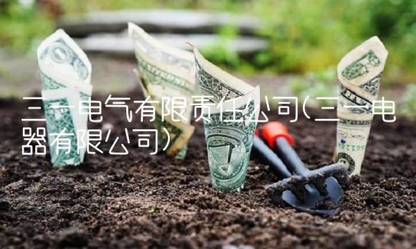 三一电气有限责任公司(三一电器有限公司)