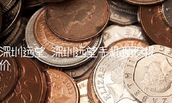 深圳远望 深圳远望手机批发报价