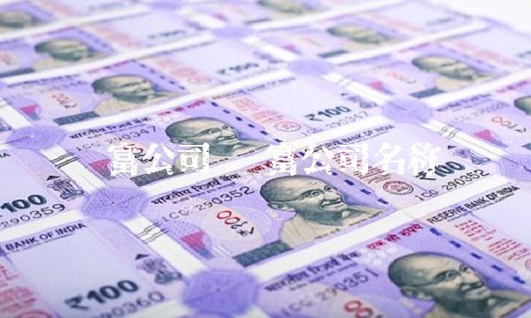 财富公司 财富公司名称