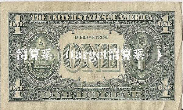 清算系统(target清算系统)
