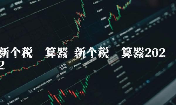 新个税计算器 新个税计算器2022