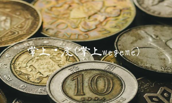 掌上维度(掌上wegeme)