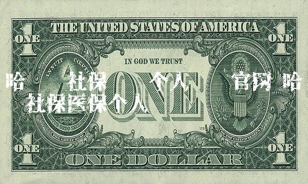 哈尔滨社保查询个人账户官网 哈尔滨社保医保个人账户查询