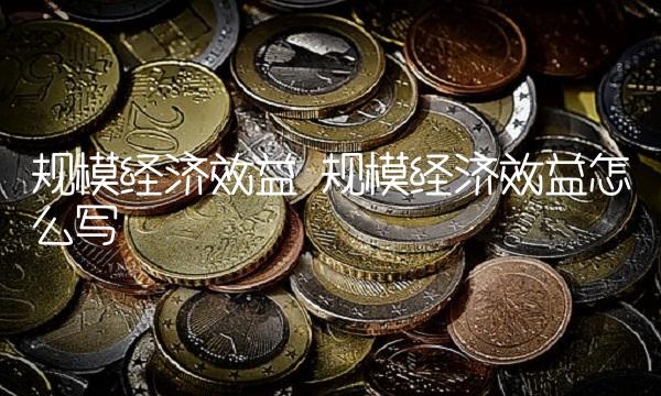 规模经济效益 规模经济效益怎么写