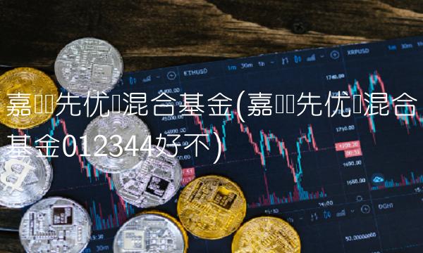 嘉实领先优势混合基金(嘉实领先优势混合基金012344好不)