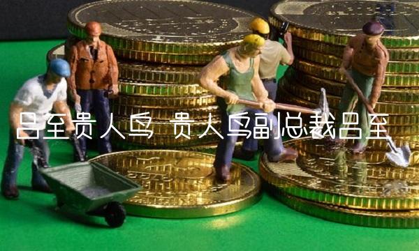 吕至贵人鸟 贵人鸟副总裁吕至