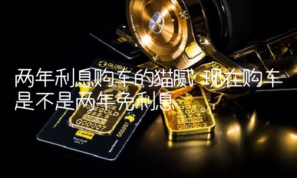 两年利息购车的猫腻 现在购车是不是两年免利息