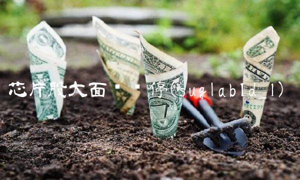 芯片股大面积涨停(suglabId_1)