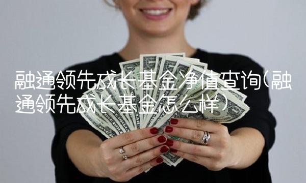 融通领先成长基金净值查询(融通领先成长基金怎么样)