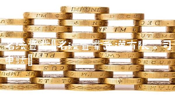 名流置业(名流置业武汉有限公司电话)