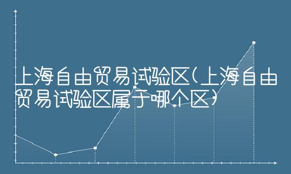 上海自由贸易试验区(上海自由贸易试验区属于哪个区)