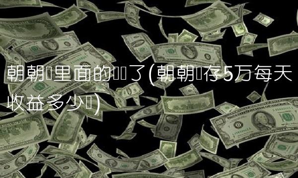 朝朝宝里面的钱没了(朝朝宝存5万每天收益多少钱)