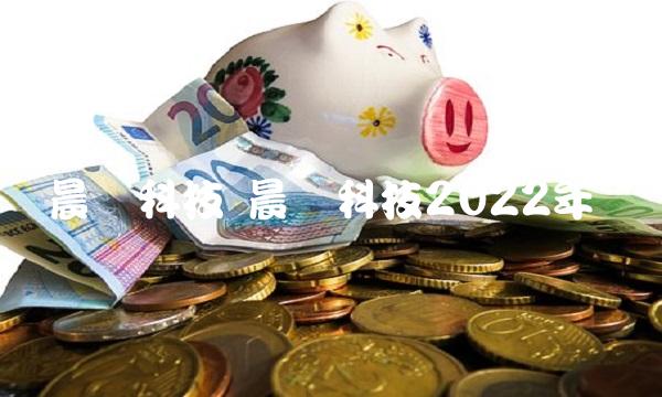 晨鑫科技 晨鑫科技2022年