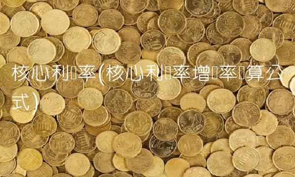 核心利润率(核心利润率增长率计算公式)