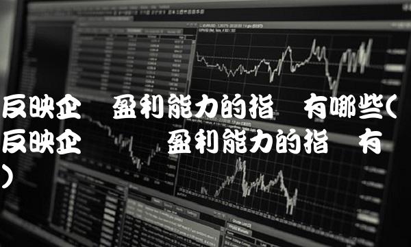 反映企业盈利能力的指标有哪些(反映企业经营盈利能力的指标有)