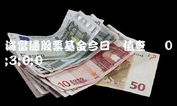 海富通股票基金今日净值查询 0;3;0;0