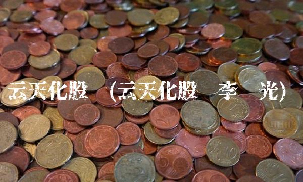 云天化股份(云天化股份李发光)