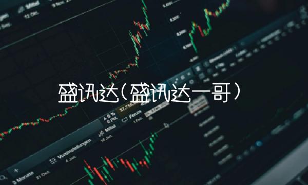 盛讯达(盛讯达一哥)
