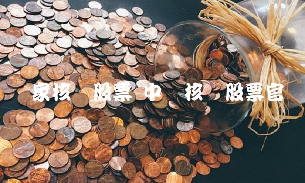 国家核电股票 中国核电股票官网