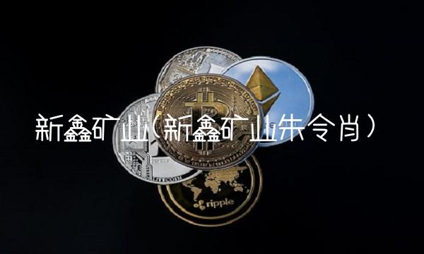 新鑫矿业(新鑫矿业朱令肖)