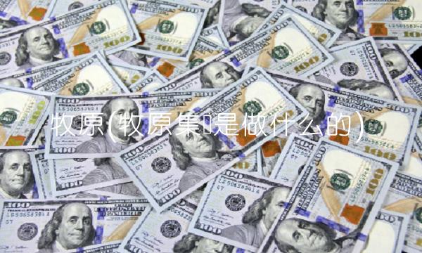 牧原(牧原集团是做什么的)