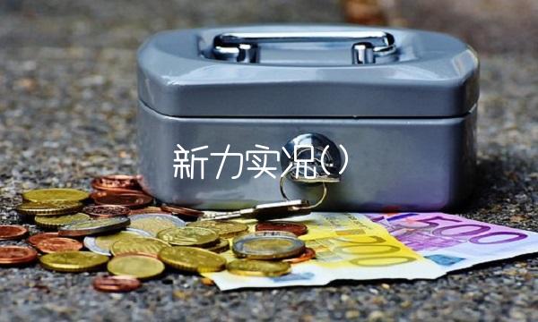 新力实况()