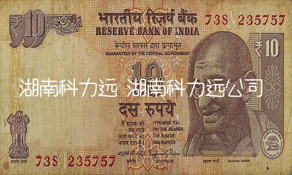 湖南科力远 湖南科力远公司