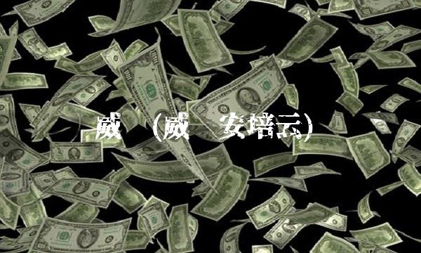 威视(威视安培云)