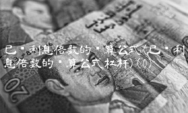 已获利息倍数的计算公式(已获利息倍数的计算公式杠杆)(0)