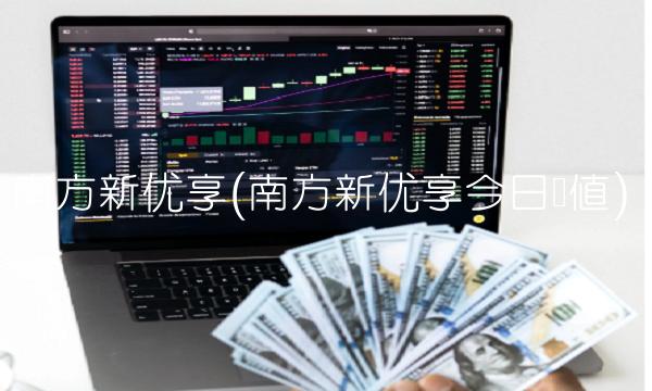 南方新优享(南方新优享今日净值)