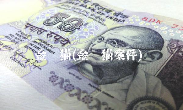 金银猫(金银猫案件)